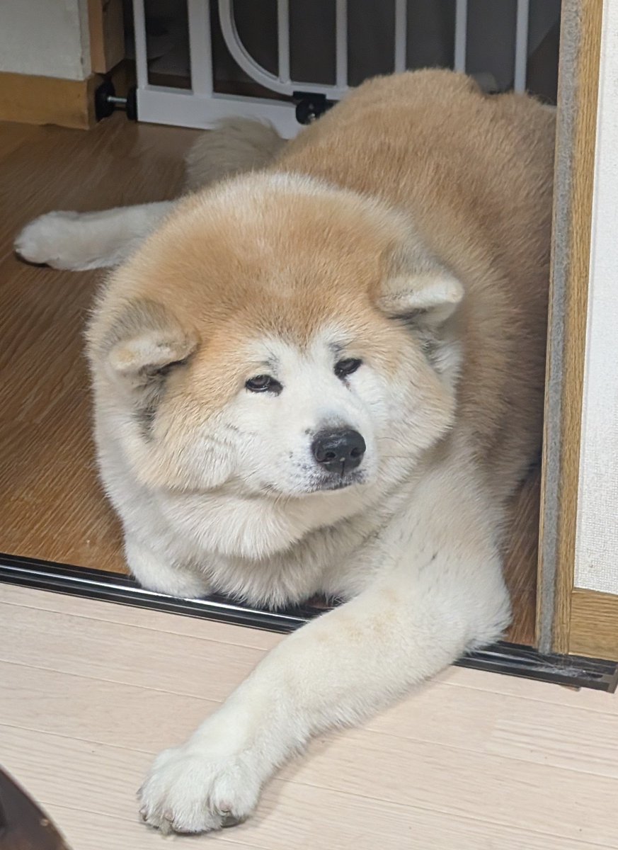 ْ (@65907_30_4) / Posts / X