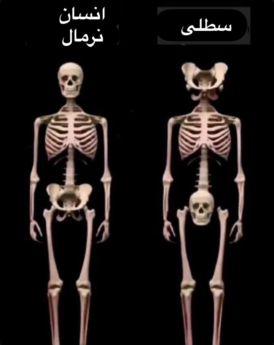 دیـاکـو tweet media