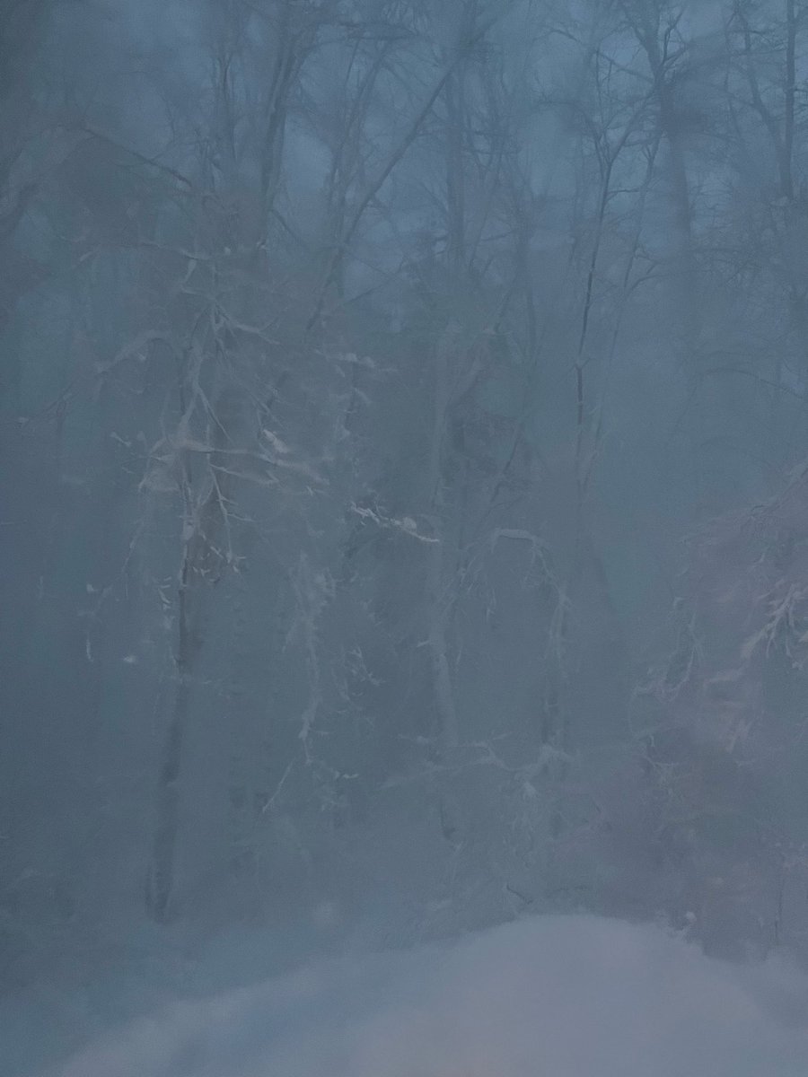 Jan Simone tweet media