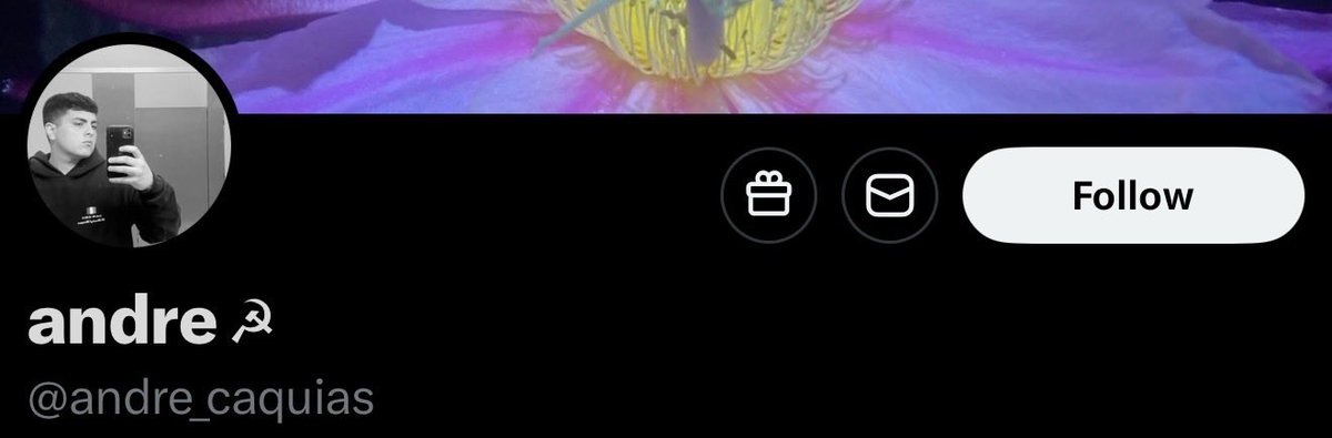 Luiyo🇺🇸🇵🇷 tweet media