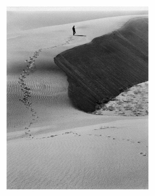 "Existen dos causas que generan todas las confusiones: No decir lo que pensamos y no hacer lo que decimos. Cuando decimos lo que pensamos y hacemos lo que decimos, nos volvemos dignos de confianza”. 
Ángeles Arrien 
📷Laura Gilpin