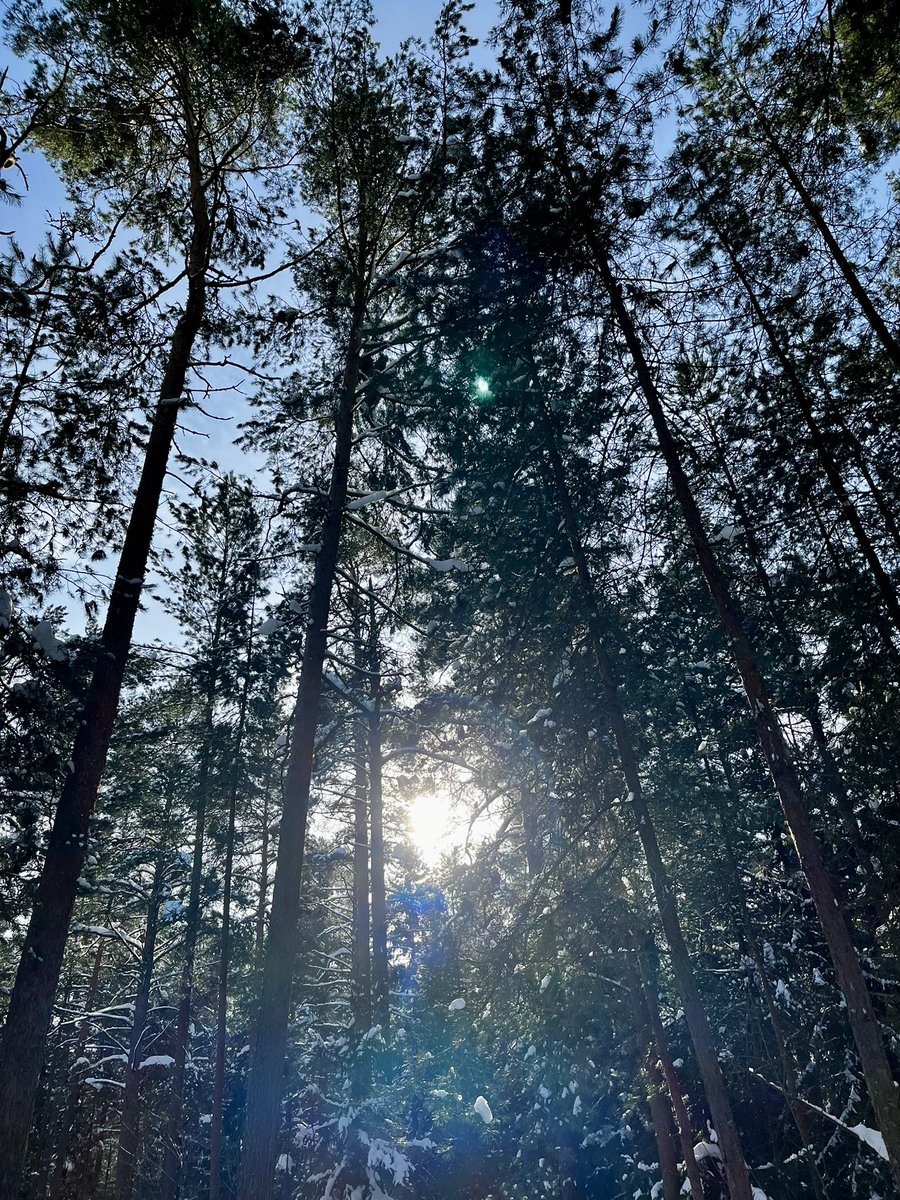 Another absolutely beautiful day 😍 🥰