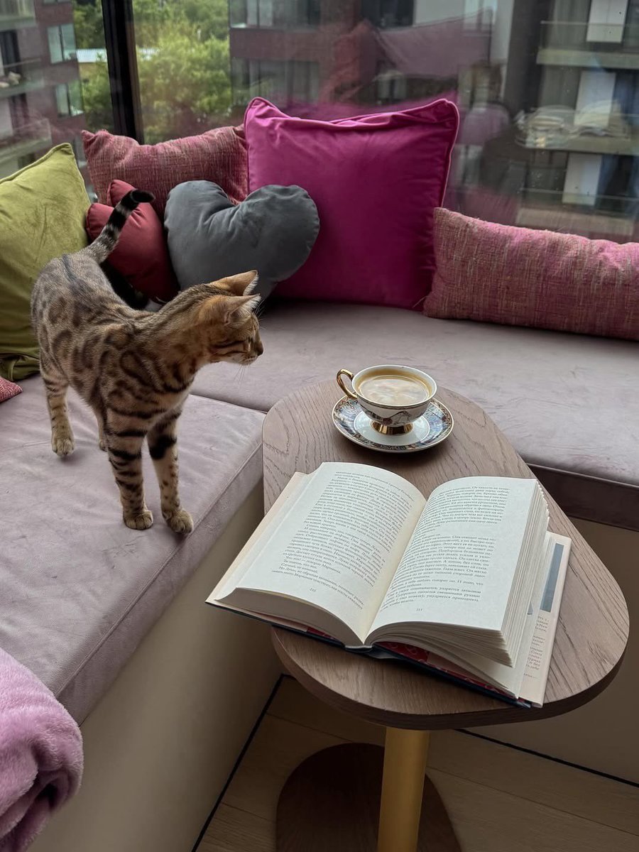 (♡ τᎯરεκ ♥)⌒。+♬゛ tweet media