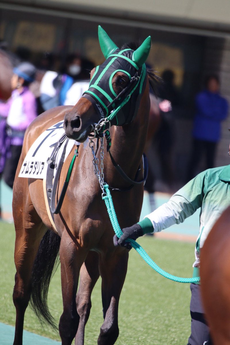 まゆみん🏇 (@clvermayumi) / Posts / X