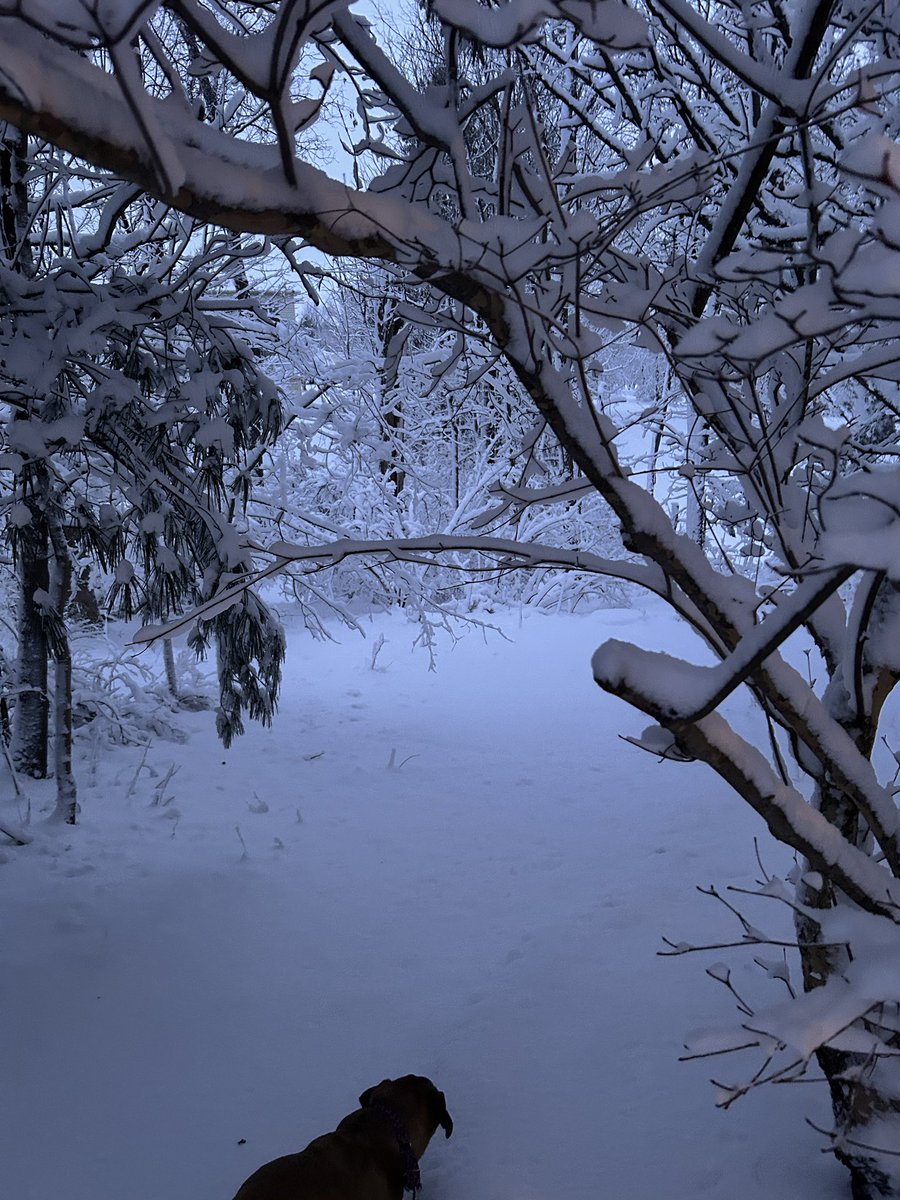 Perkiomen township got this much snow.