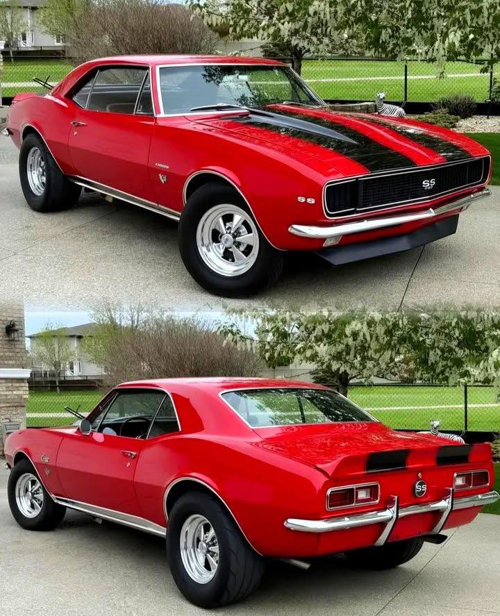 🏁 𝔹 ℝ 𝕀 𝔸 ℕ 🏁 tweet media