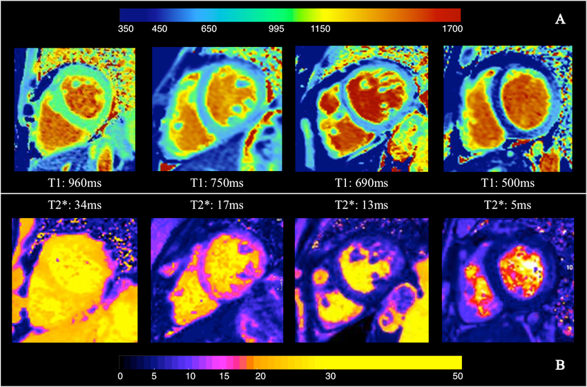 Marco Kaldas tweet media