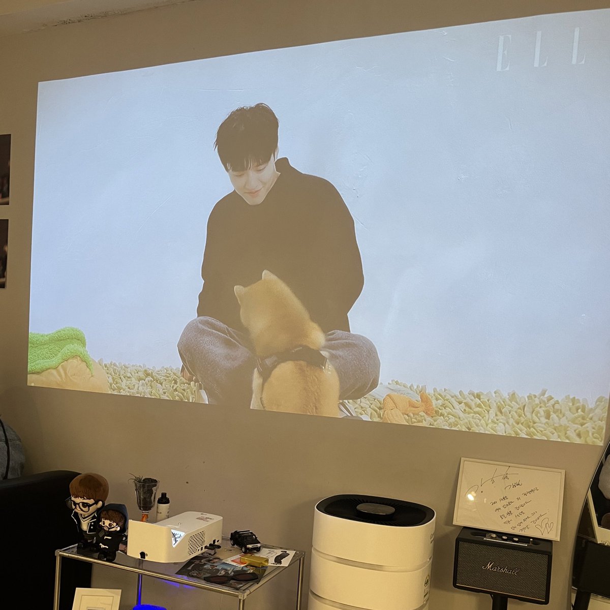 하늘은 햇살 tweet media