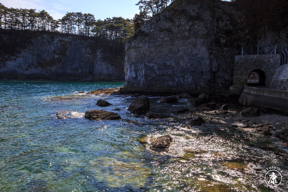 タケコプター (@200cmyk) / Posts / X