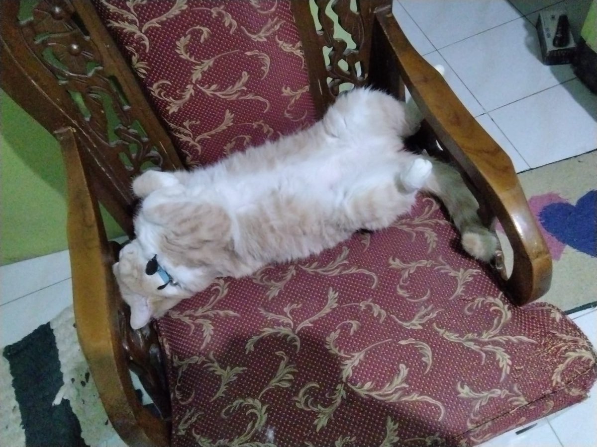 Habis bukaa mari kita bobooo