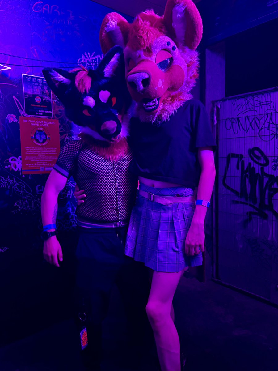 algos // brunswick tweet media