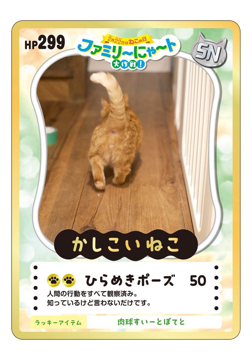 yzmg75413's tweet photo. #ファミリ〜にゃ〜ト大作戦 
#nekochan https://t.co/Oiqavev9bN