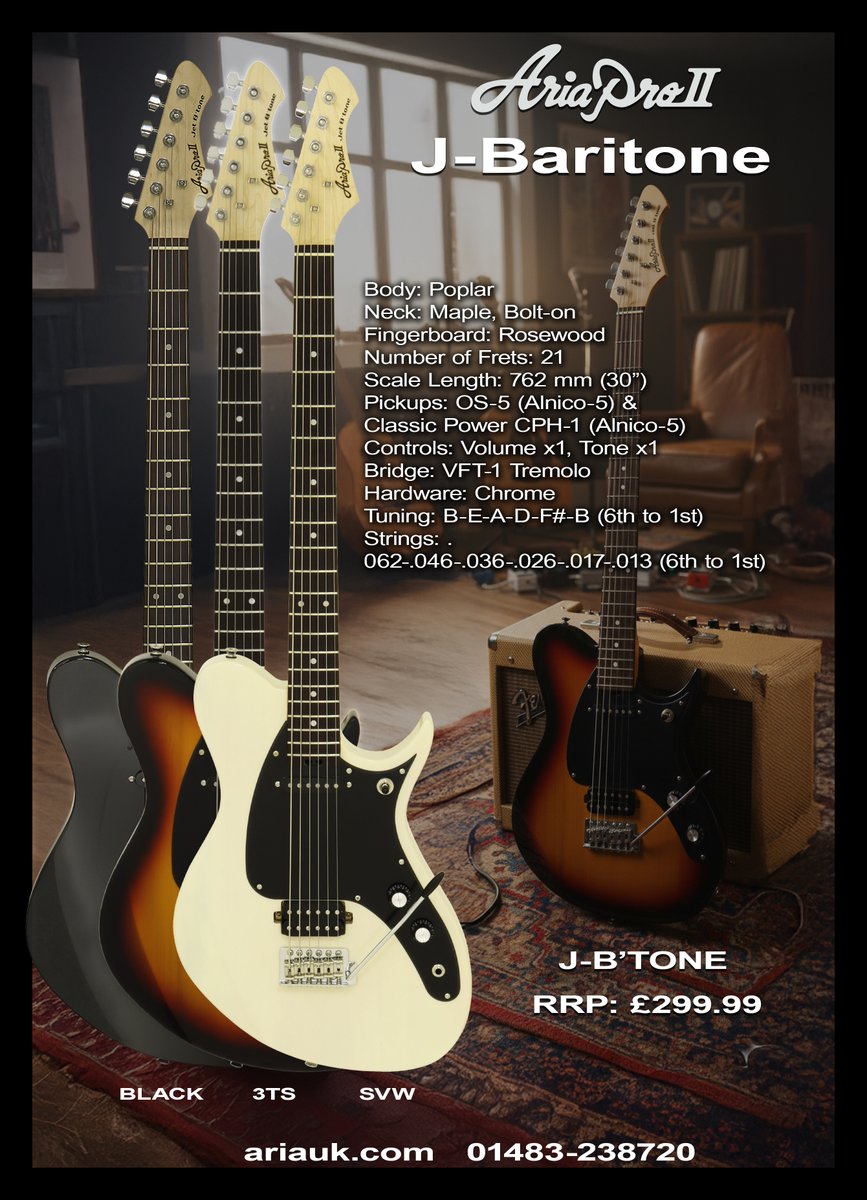 Aria Guitars UK tweet media