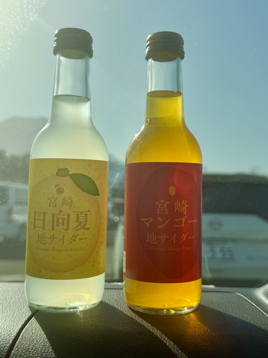 保護猫活動で、日帰り弾丸で宮崎へ！！ 走行距離約700km！！！ みんな