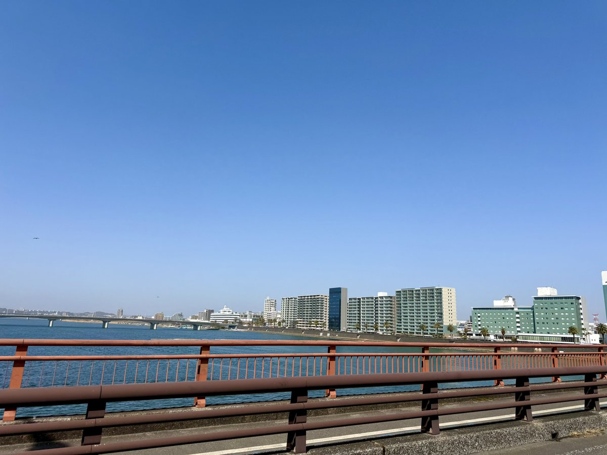 保護猫活動で、日帰り弾丸で宮崎へ！！ 走行距離約700km！！！ みんな