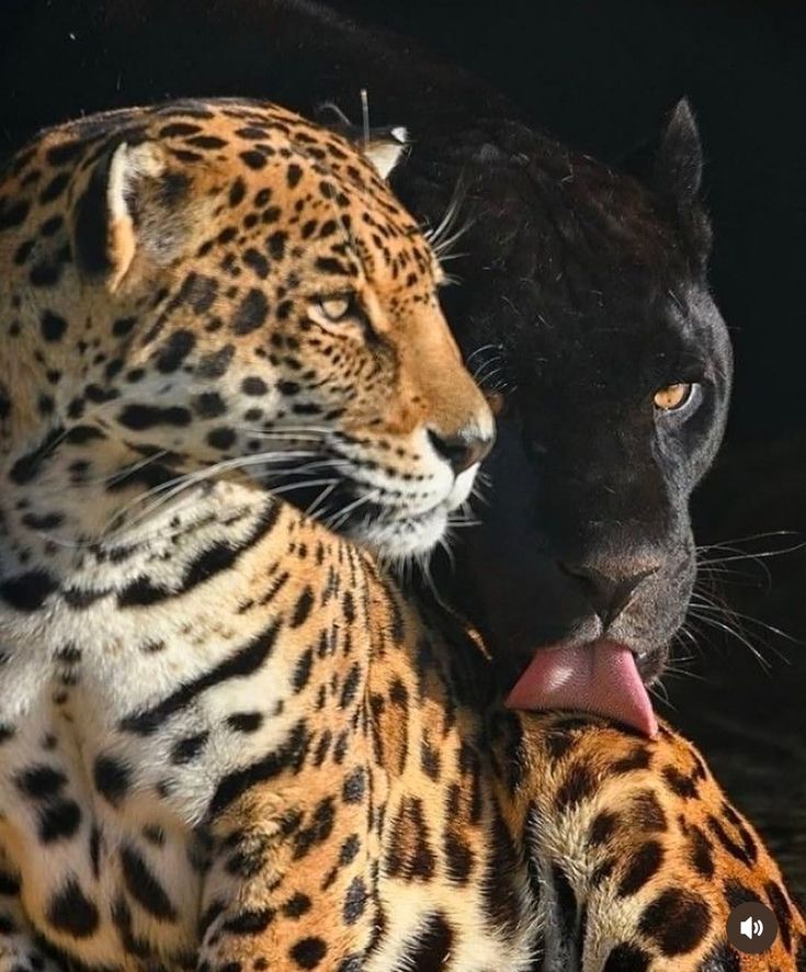 Beautiful views (@magicalnature5) on Twitter photo 