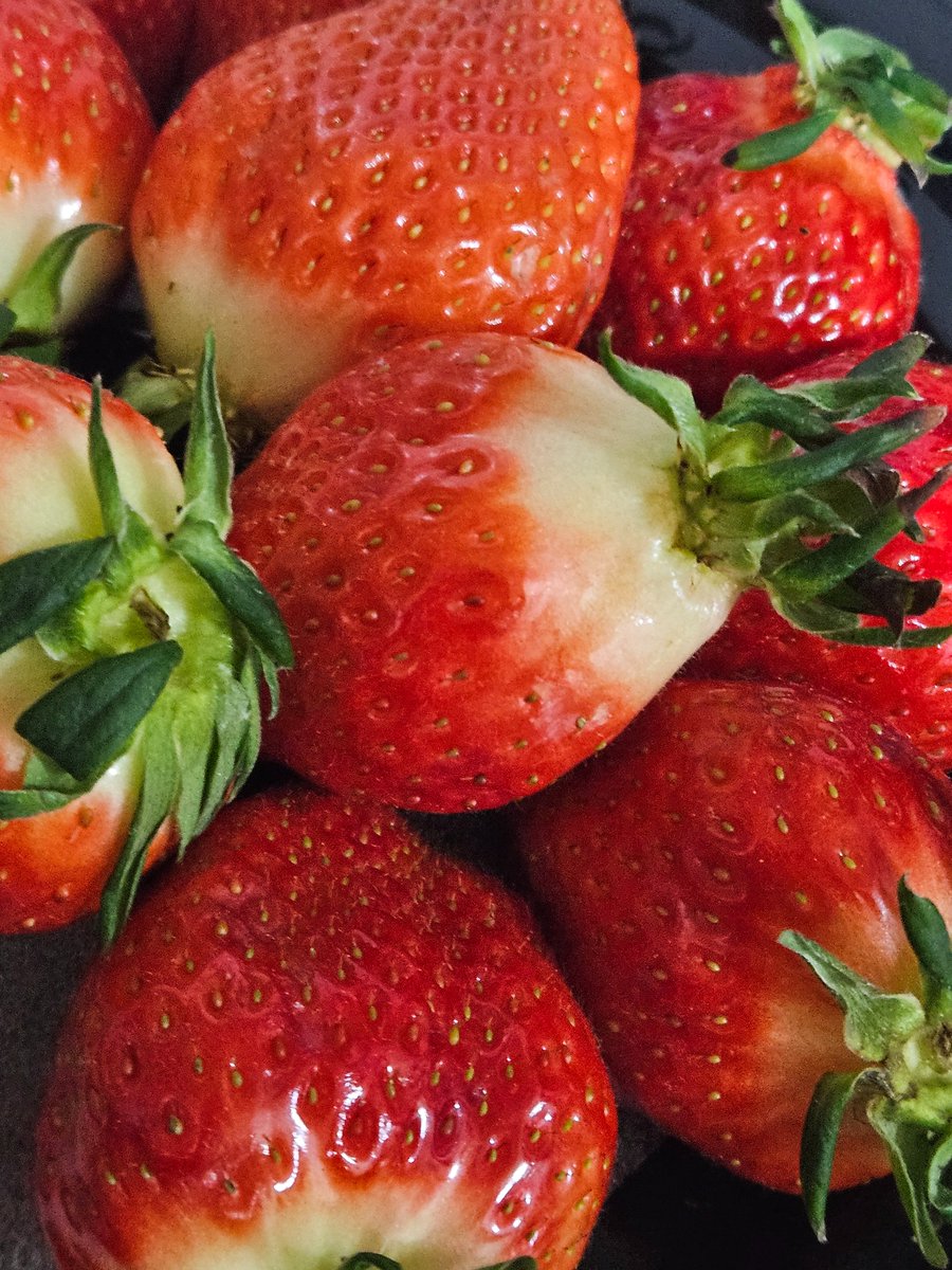 rrreggegg's tweet image. 님드라 요즘
딸기너므마싯다 많이먹어라