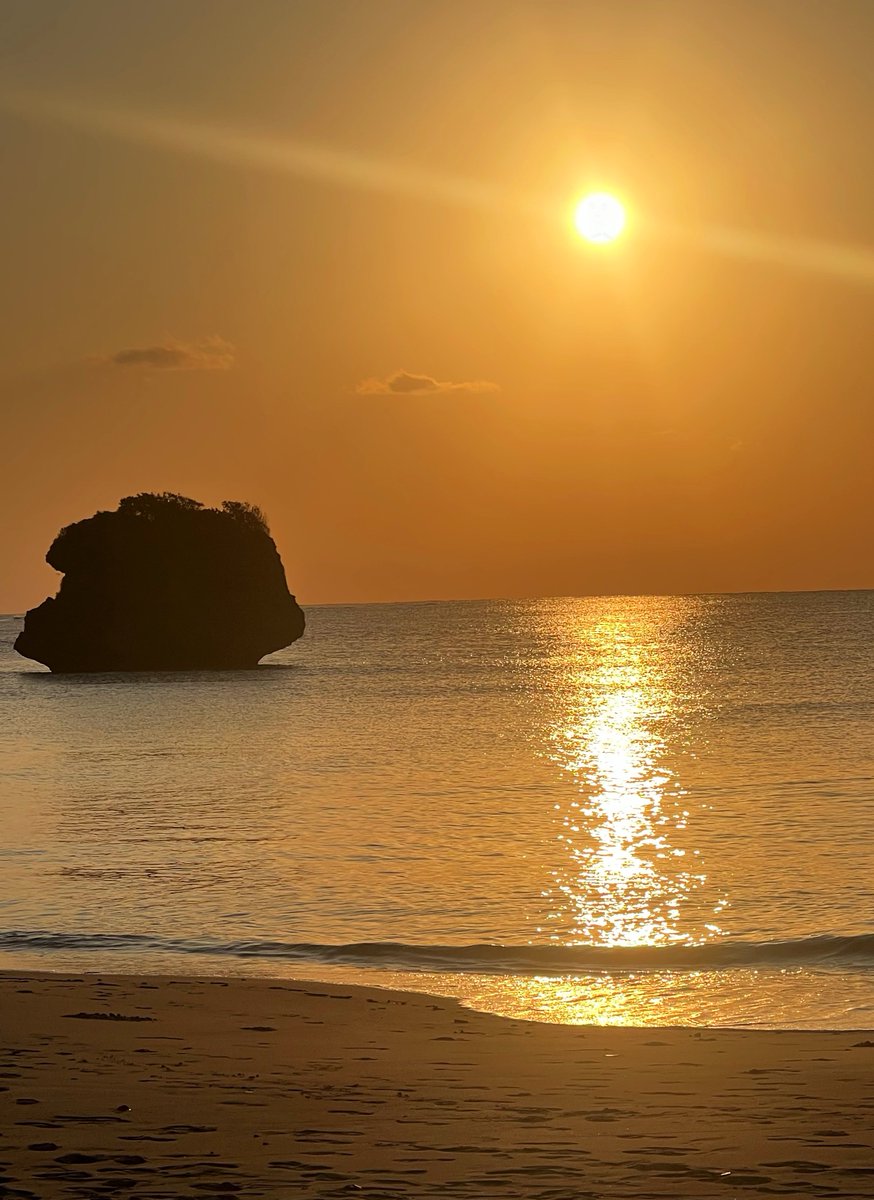 ふなっしー💙 (@funassyi) / Posts / X