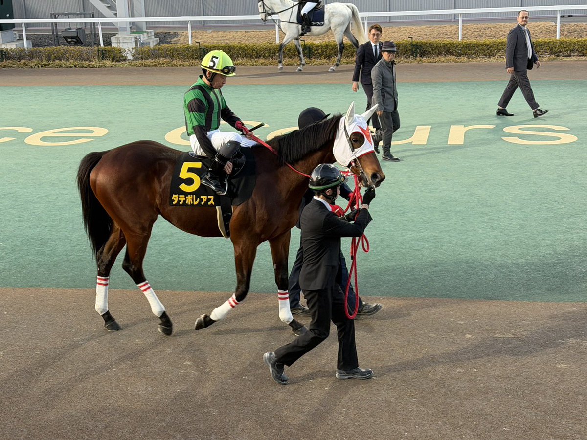本日のかきつばた記念に生産馬ダテボレアスが出走しました。
結果は、最下位でしたがこの経験が次走に繋がってくれることを期待します。
現地からパドックの写真をダテボレアスの母ハンナリトのオーナーだった村上卓史様より送っていただきました。応援ありがとうございました。