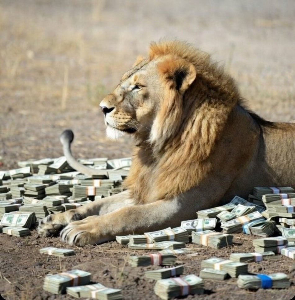 What’s your next move??