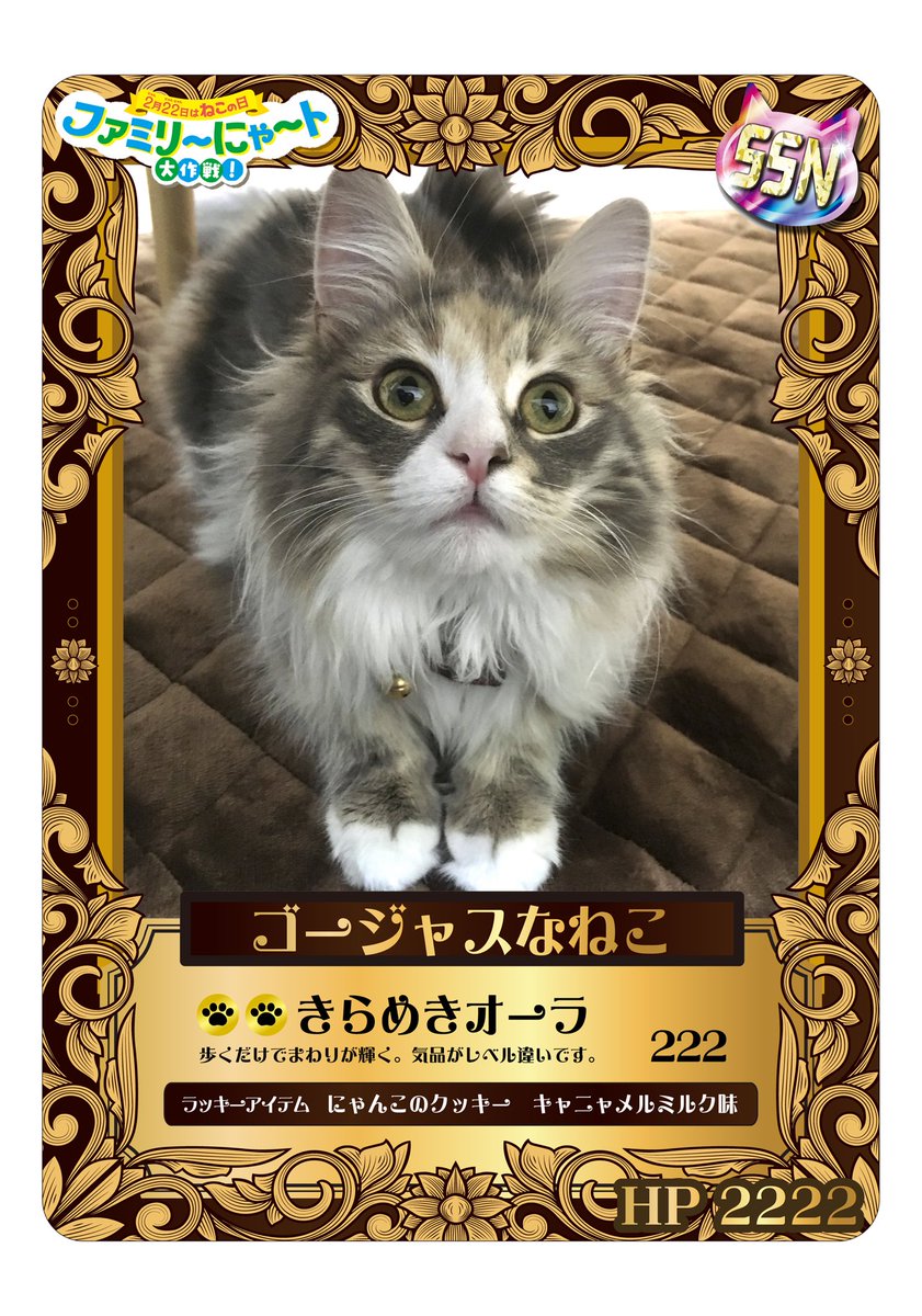 yzmg75413's tweet photo. #ファミリ〜にゃ〜ト大作戦 
#nekochan

やっと1つ出た😭 https://t.co/87UkAJP2ib