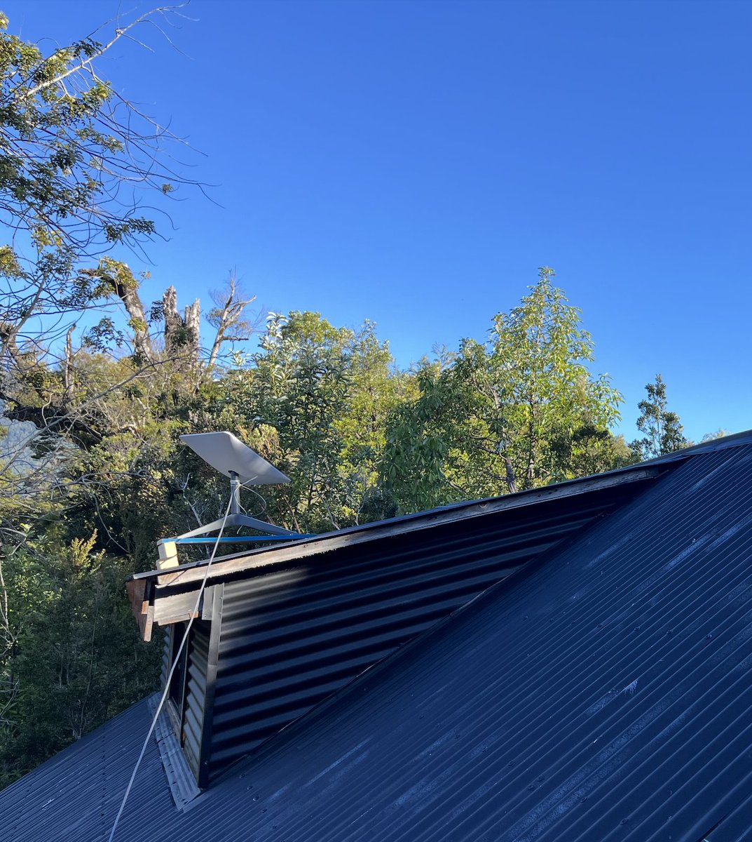 Andrés Matte tweet media