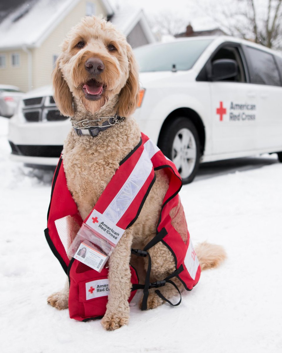 Red Cross New Mexico tweet media
