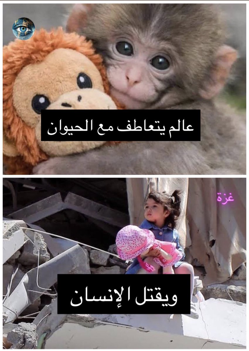 hashemuf1's tweet photo. https://t.co/UORHWpV7Bc