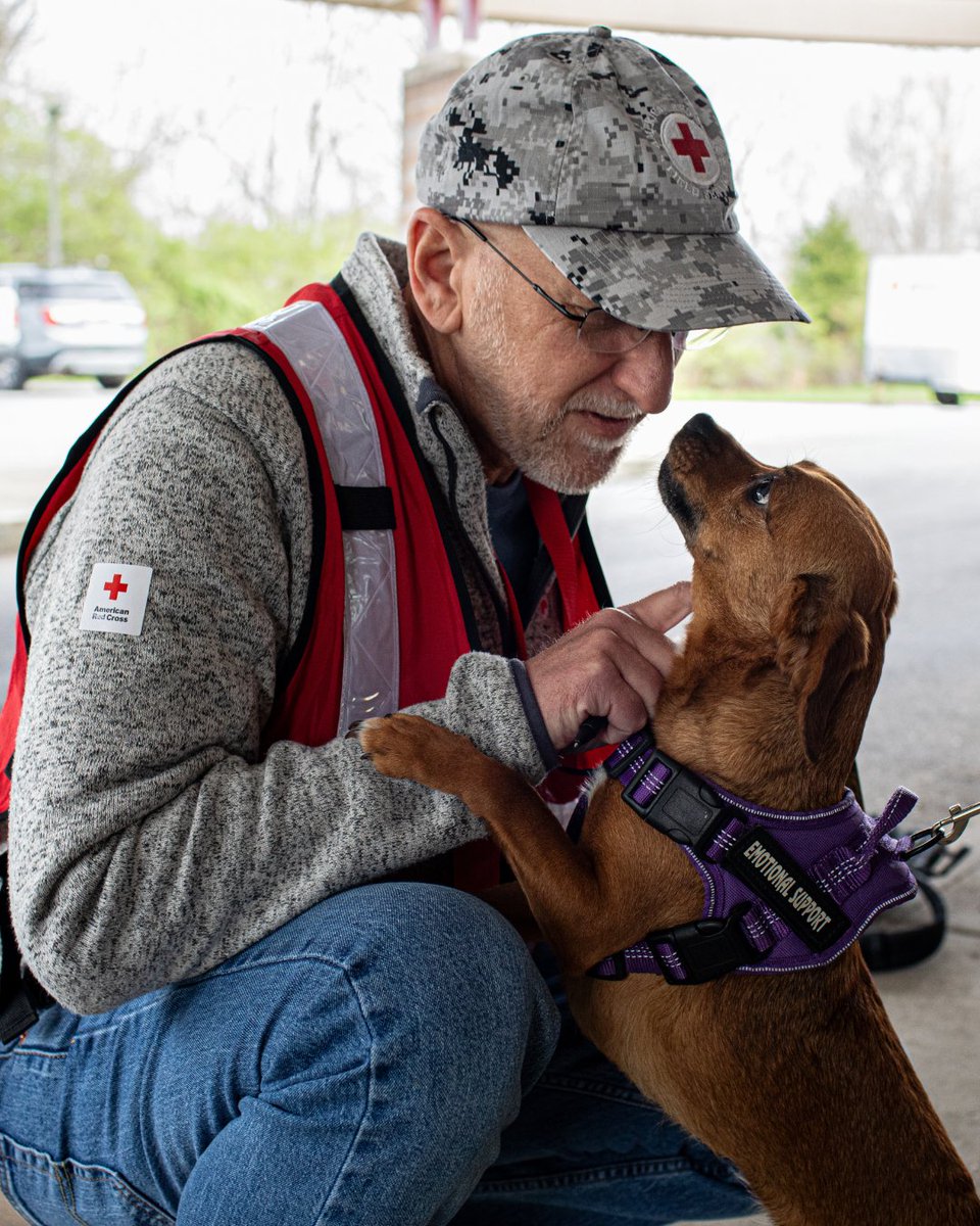 Red Cross New Mexico tweet media