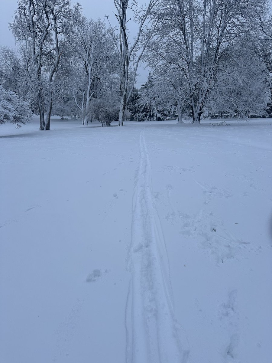 Steven Chernoff tweet media