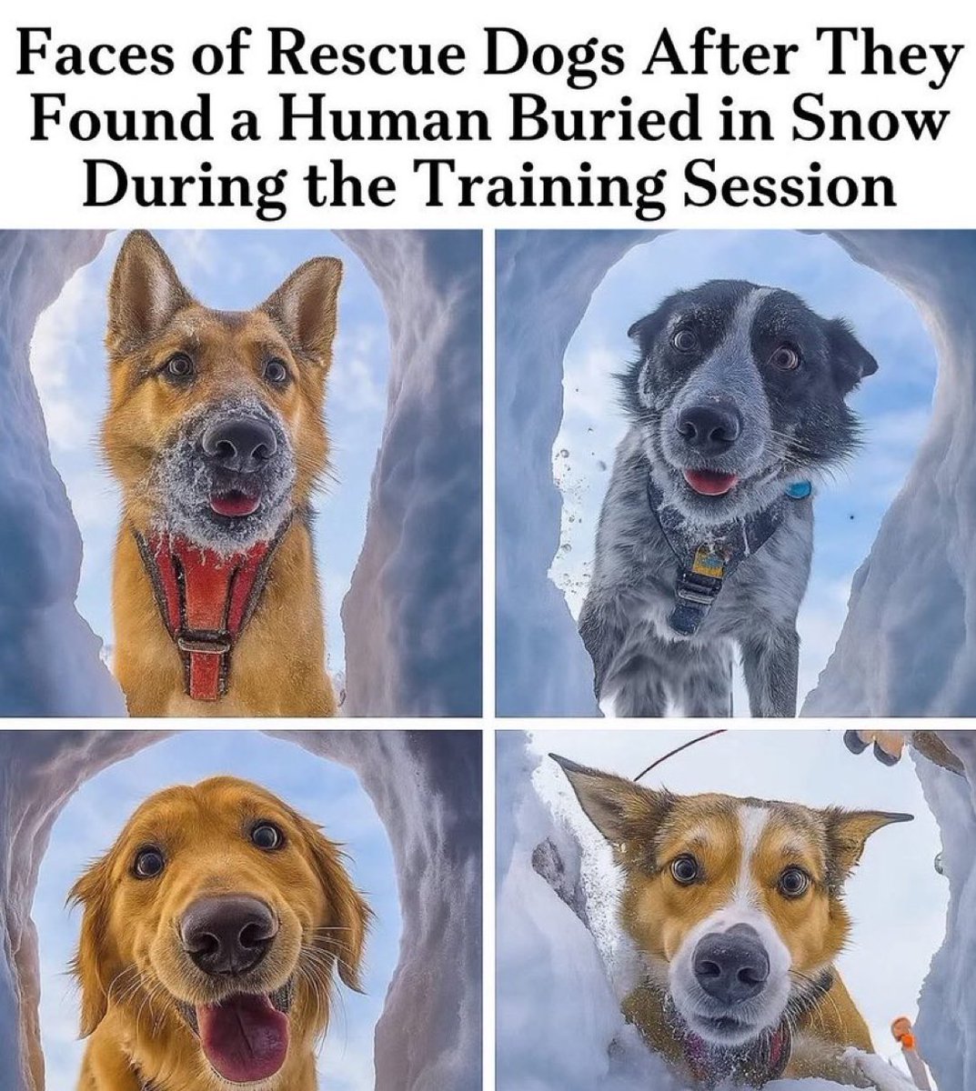 Please leave a heart for this legends