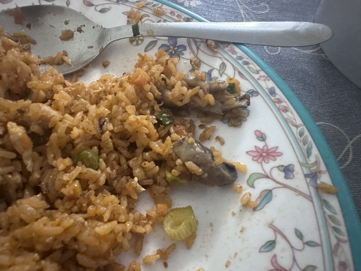 AustinPais3's tweet photo. @zomatocare @zomato order Mixed Chicken Schezwen fried rice I was given mushroom  in plenty? What is this nonsense? Even green peas https://t.co/vFp1oCWmVS