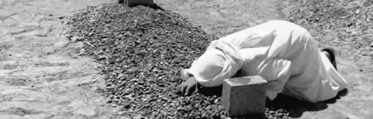 رثائيّات. tweet media