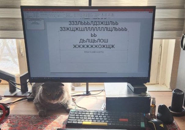 _poor_poor_'s tweet photo. я хочу и тут вести страничку своего кота https://t.co/IiK0NnTW82