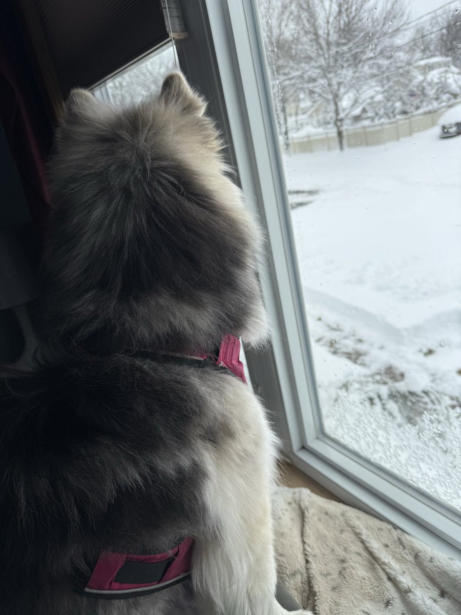 Holy fuck there's like 2 feet of snow where I live