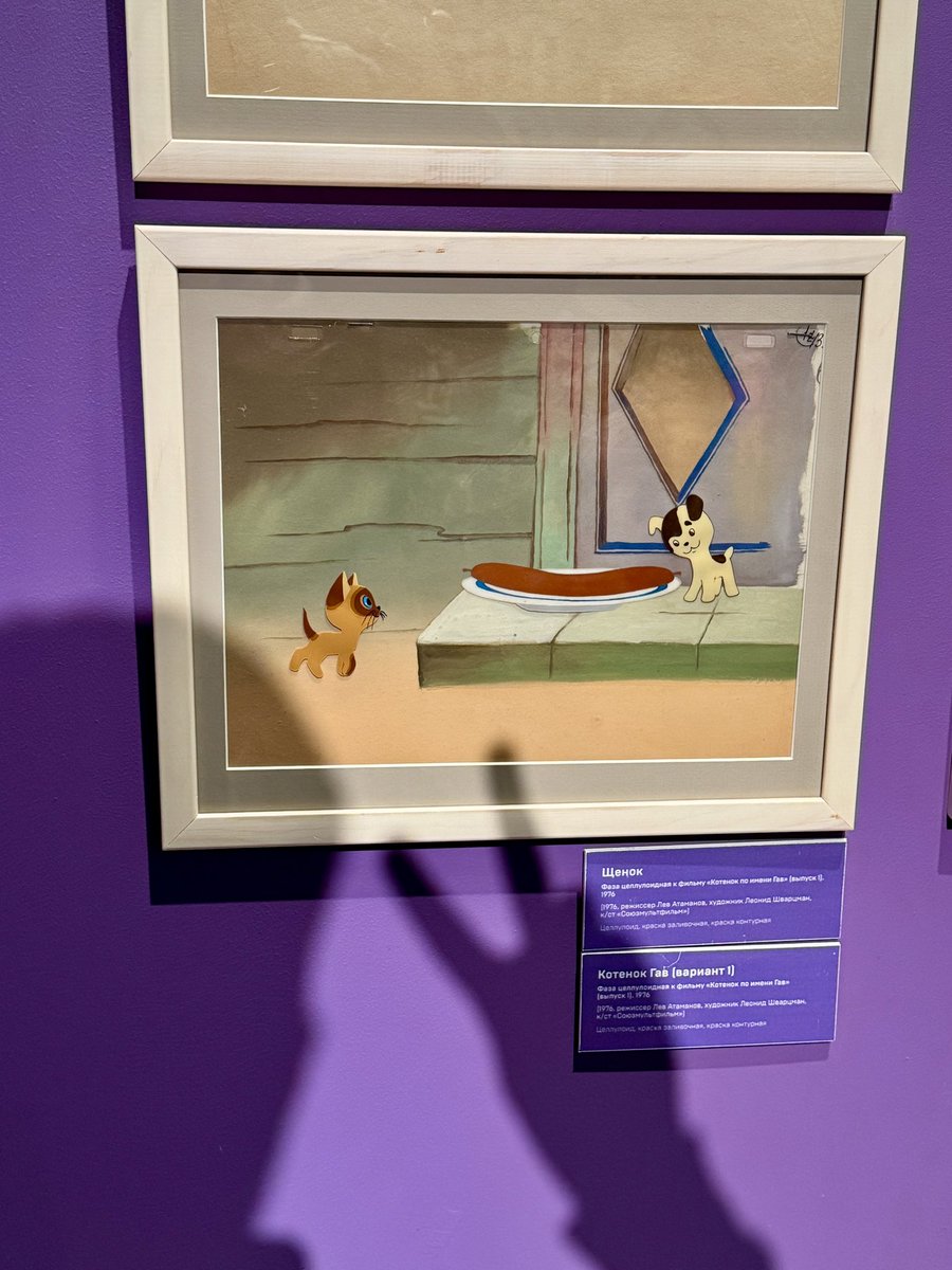 Прокки tweet media