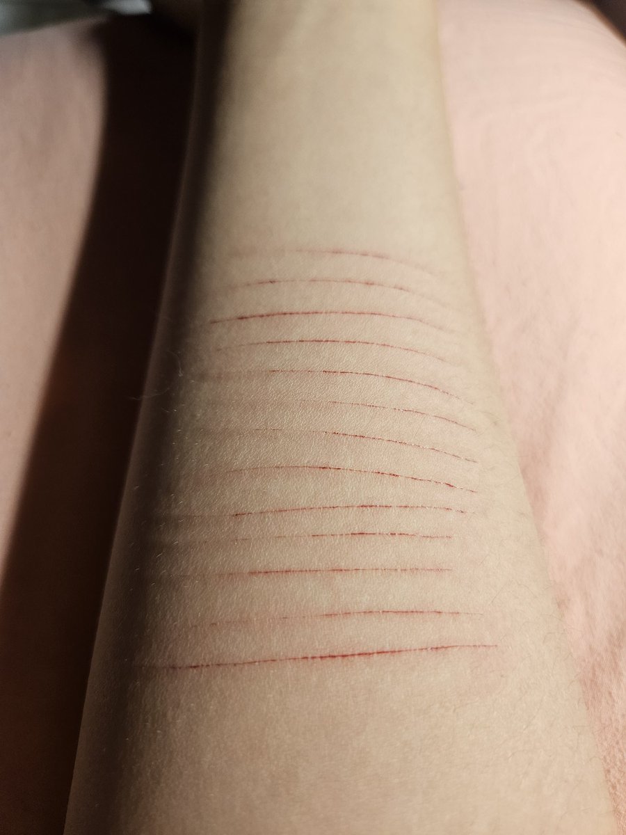 x냥냥이x tweet media