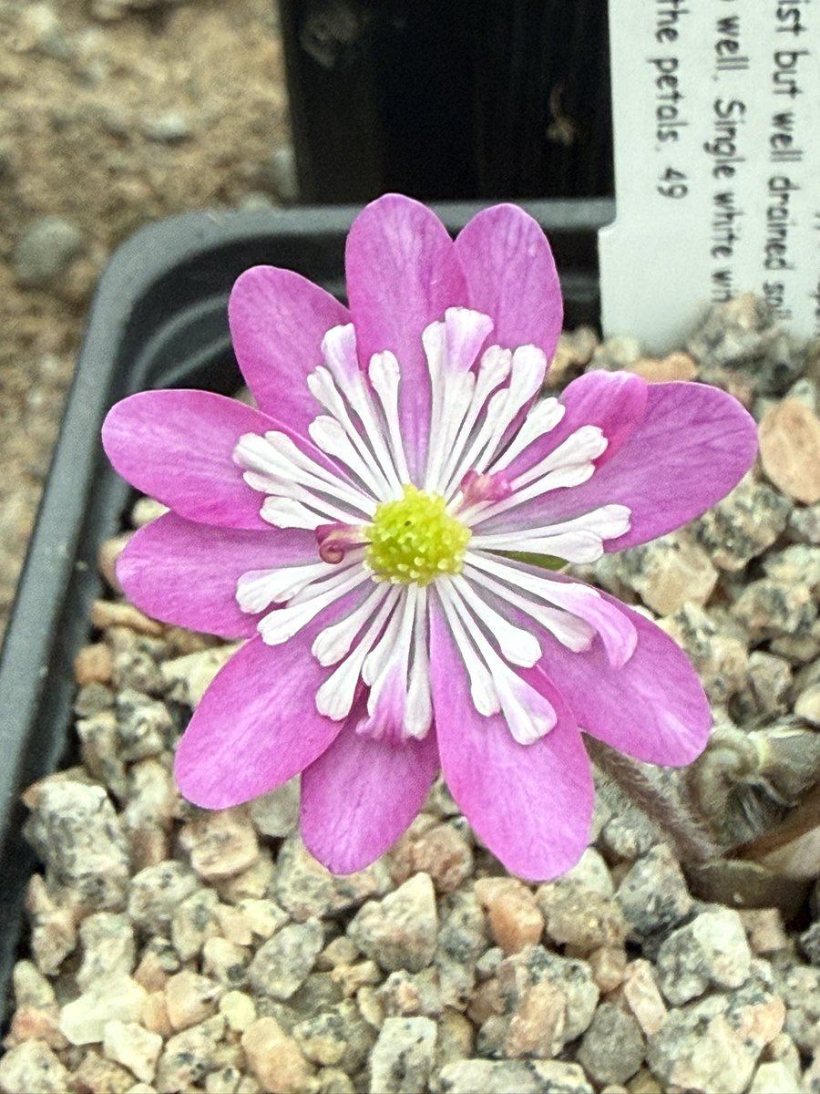 Alan James Gardner tweet media