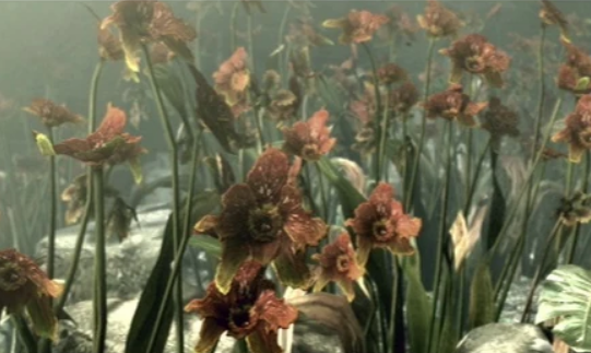 PipePunk tweet media