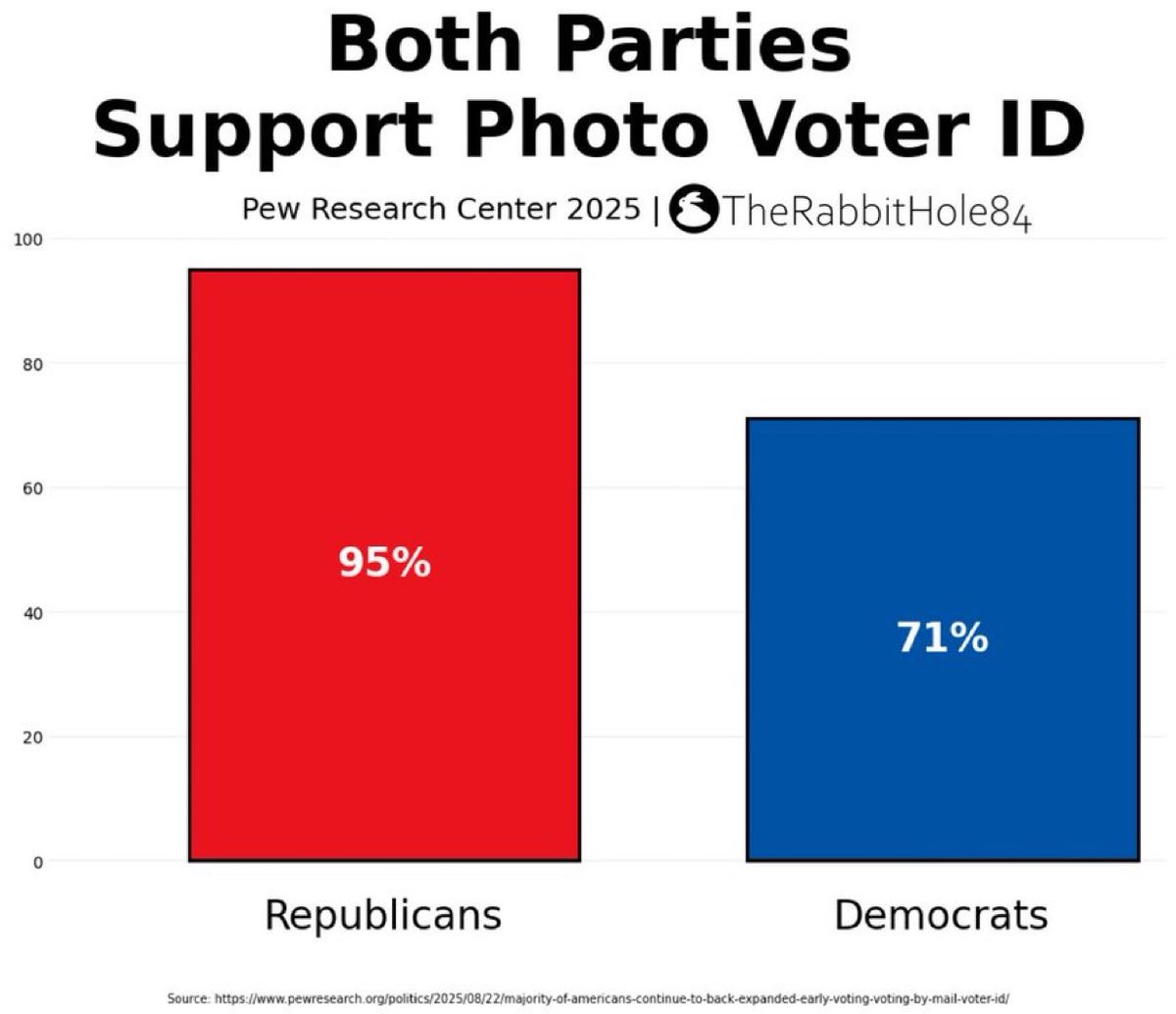 Both Democrats and Republicans support photo voter id.

This should be one of the easiest things for Congress to pass.