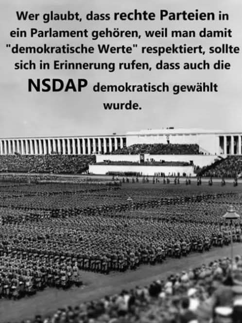 #NoAfD #AfD #AfDVerbotsverfahren2026 #AfDSindFaschisten #AfDVerbotSofort