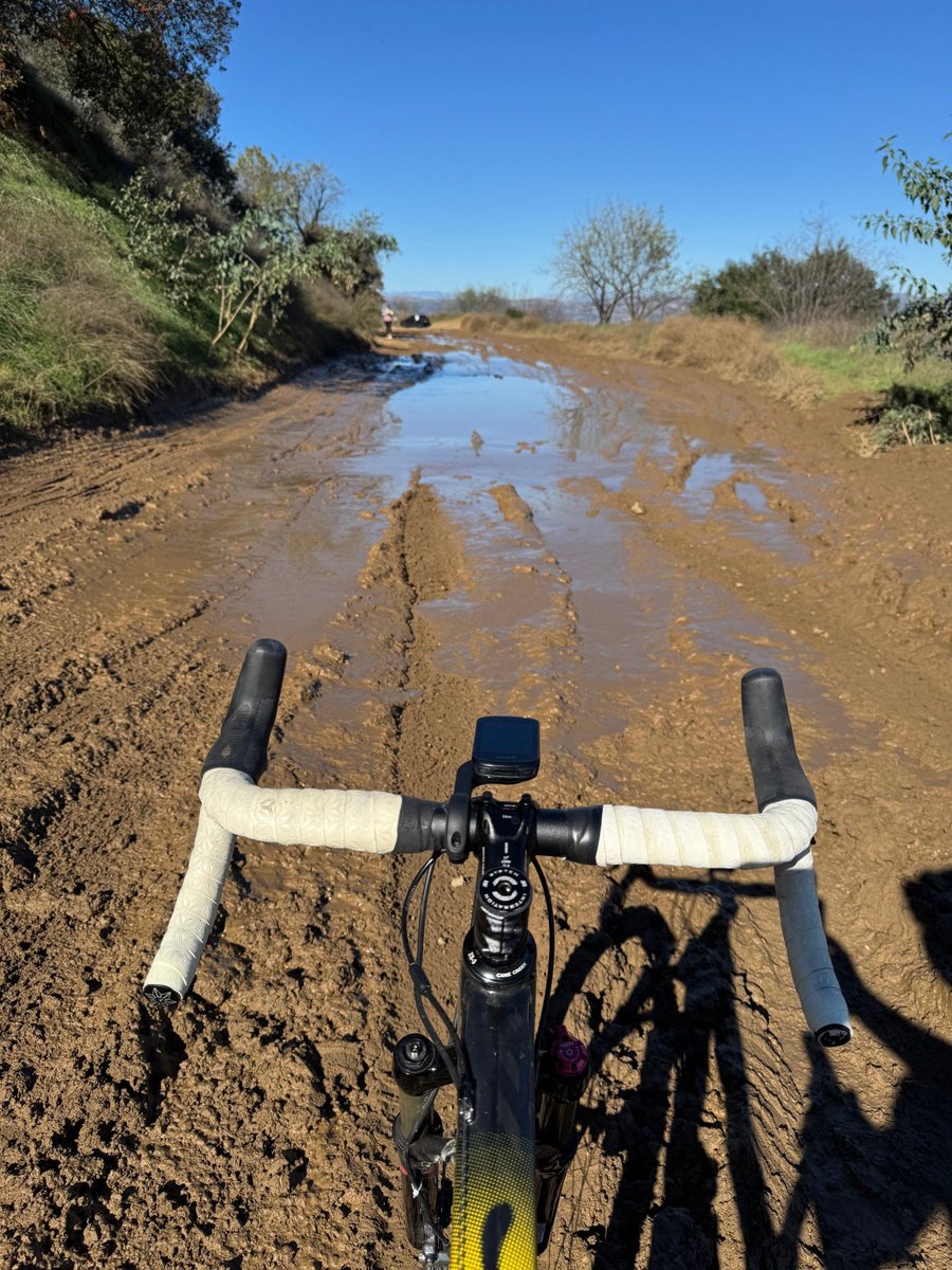 Steven Quartz PhD tweet media