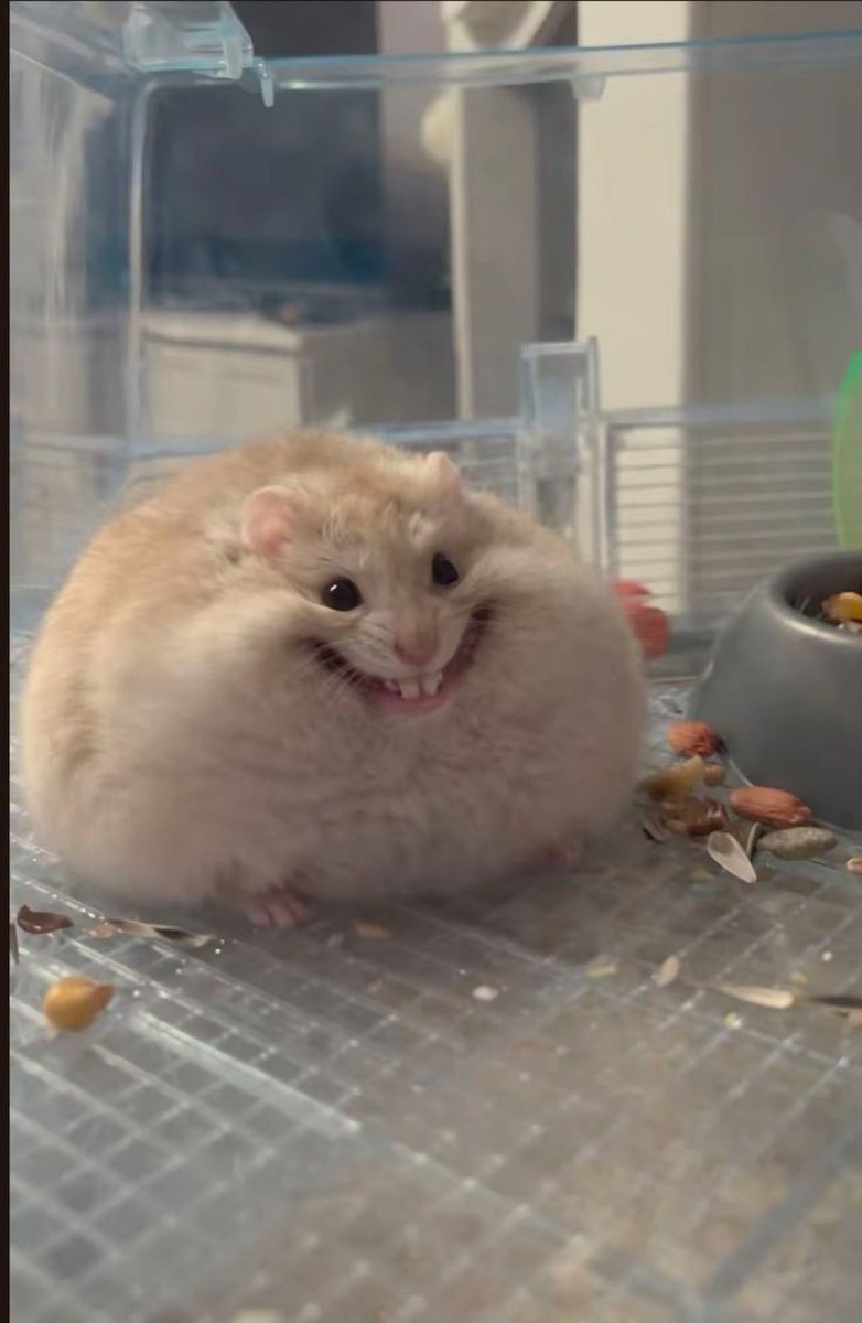 ふらみぃ tweet media