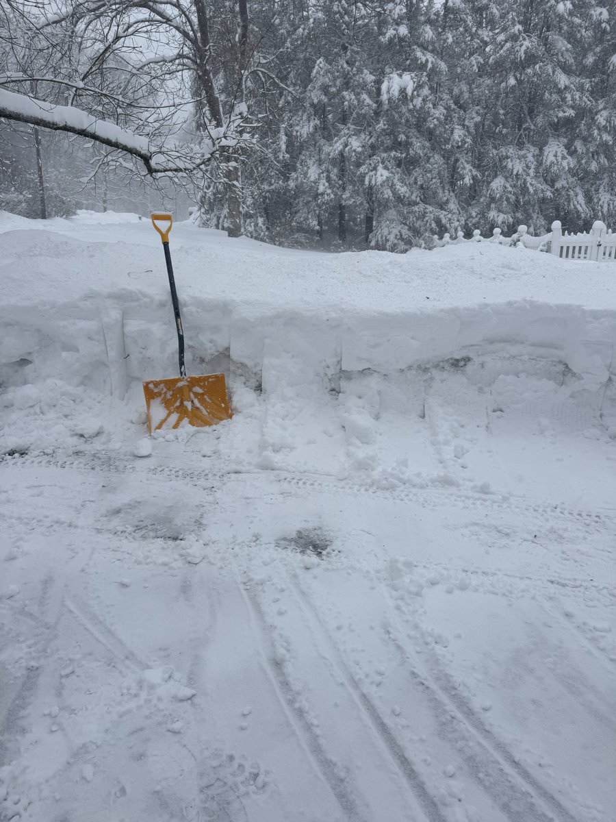 Adam Snook tweet media