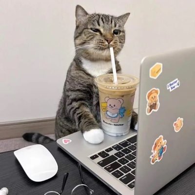 23ada23x's tweet photo. -sitenin en pozitif yüzüdür 
-seviyeli ve objektif yorumlarıyla antileri bile kendine hayran bırakır
-her konuda bilgisi vardır 
-sitede her zaman bizi sakinleştirir 
-ona ayrı bir hayranlığımız vardır @brnshn2212 🌸💓

With @coinbyrk https://t.co/S4y5YNGl1g
