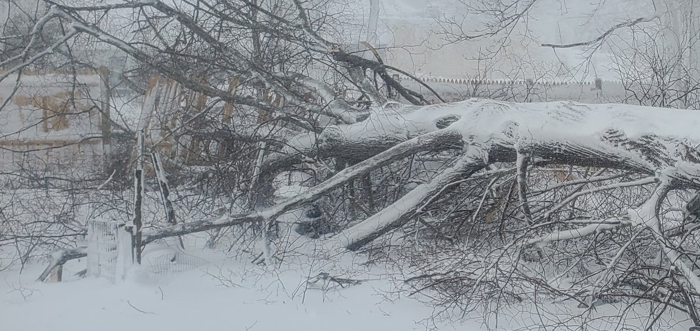 HyannisCapeCod tweet picture