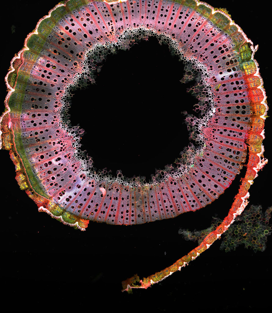 opnmagazine tweet media