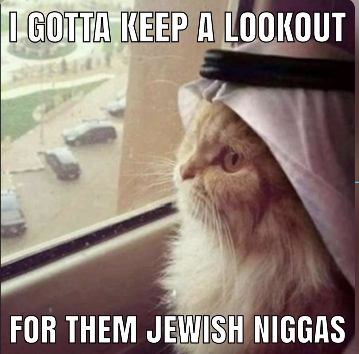 Perc 𒉭 (@percthagoat) on Twitter photo 