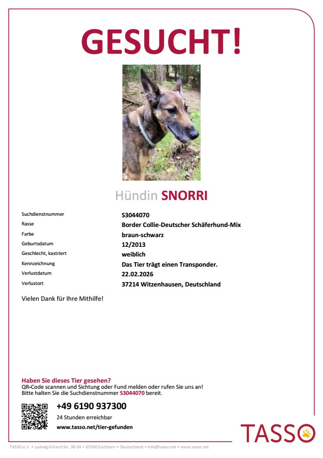 Fittus Broadcast tweet media