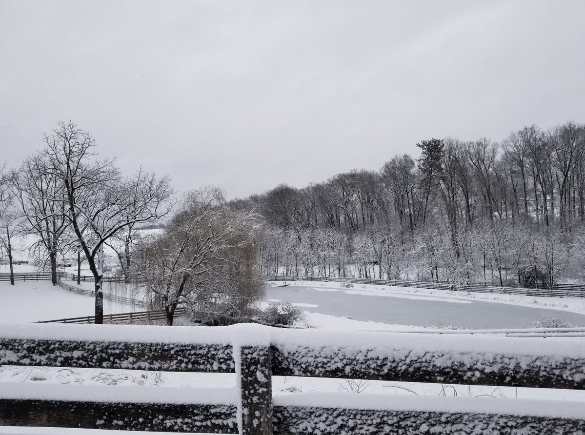 Dr. Julie Gurner tweet media